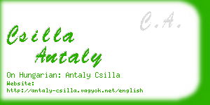 csilla antaly business card